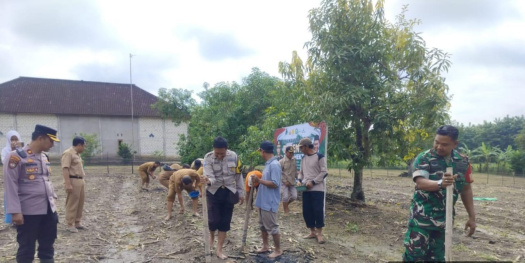 Tanam Jagung Serentak di 1 Juta Hektar Lahan, Wujud Dukung Program Ketahanan Pangan, Polsek Padangan Dan Pemdes Kendung