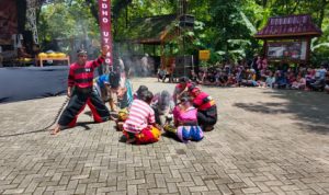 IMG_20251226_095803