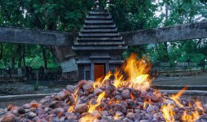 images-51