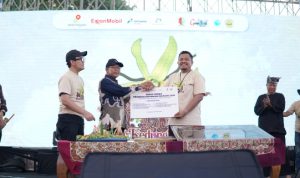 IMG_20261017_134948